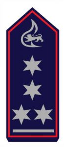 Schulterstück Leitender HBM als stellv Abt. Kommandant